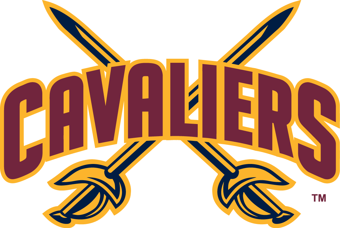 Cleveland Cavaliers 2010-2017 Alternate Logo iron on transfers for fabric...